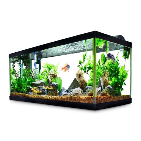 40 Gallon & Up Fish Tanks: Large Aquariums & Breeder Tanks.
